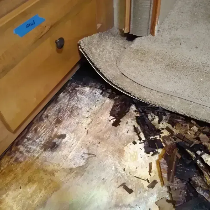 Best Wood Floor Water Damage Service in Ridge Manor, FL